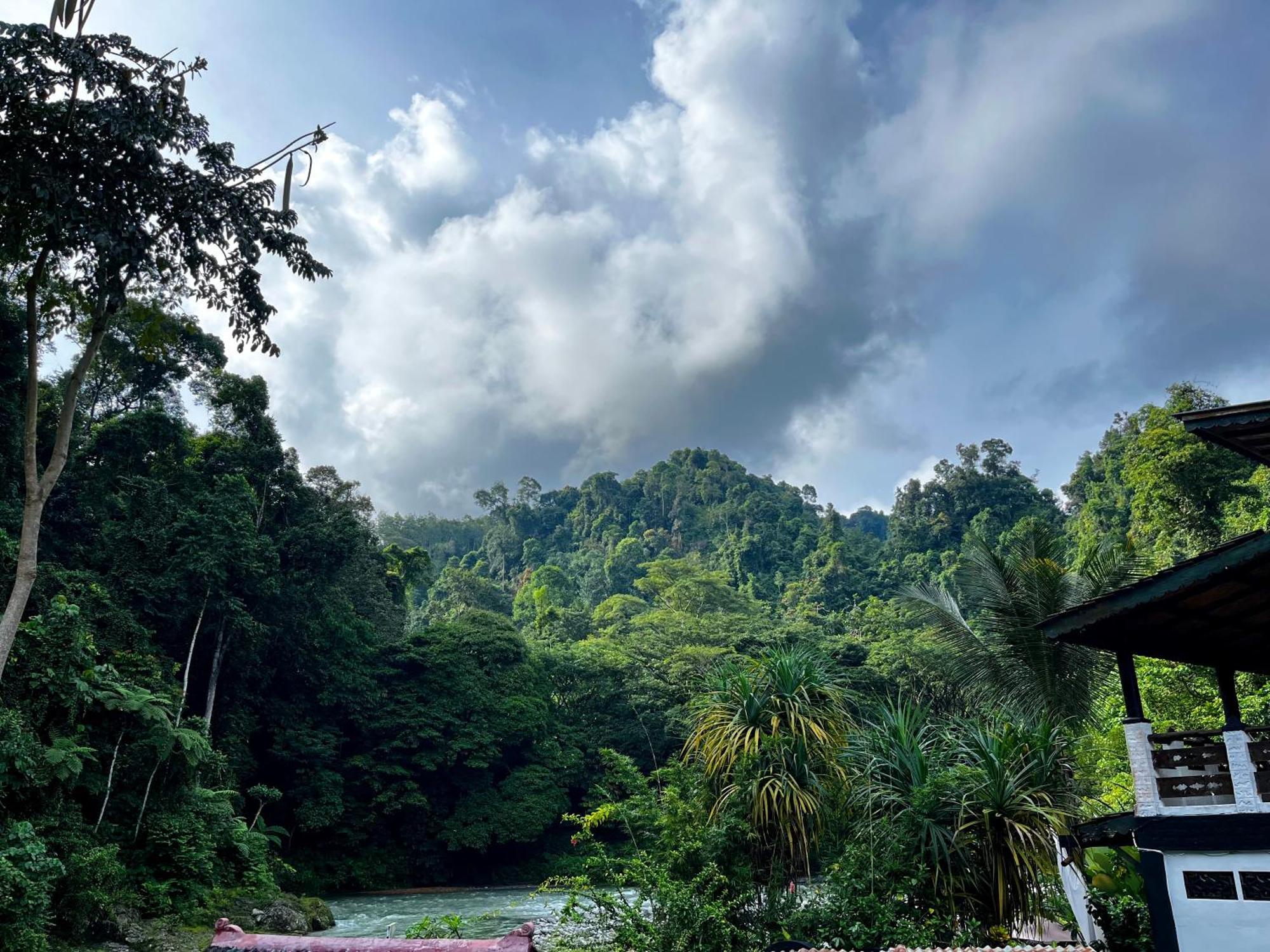 Charlys Little House Hotel Bukit Lawang Exterior photo
