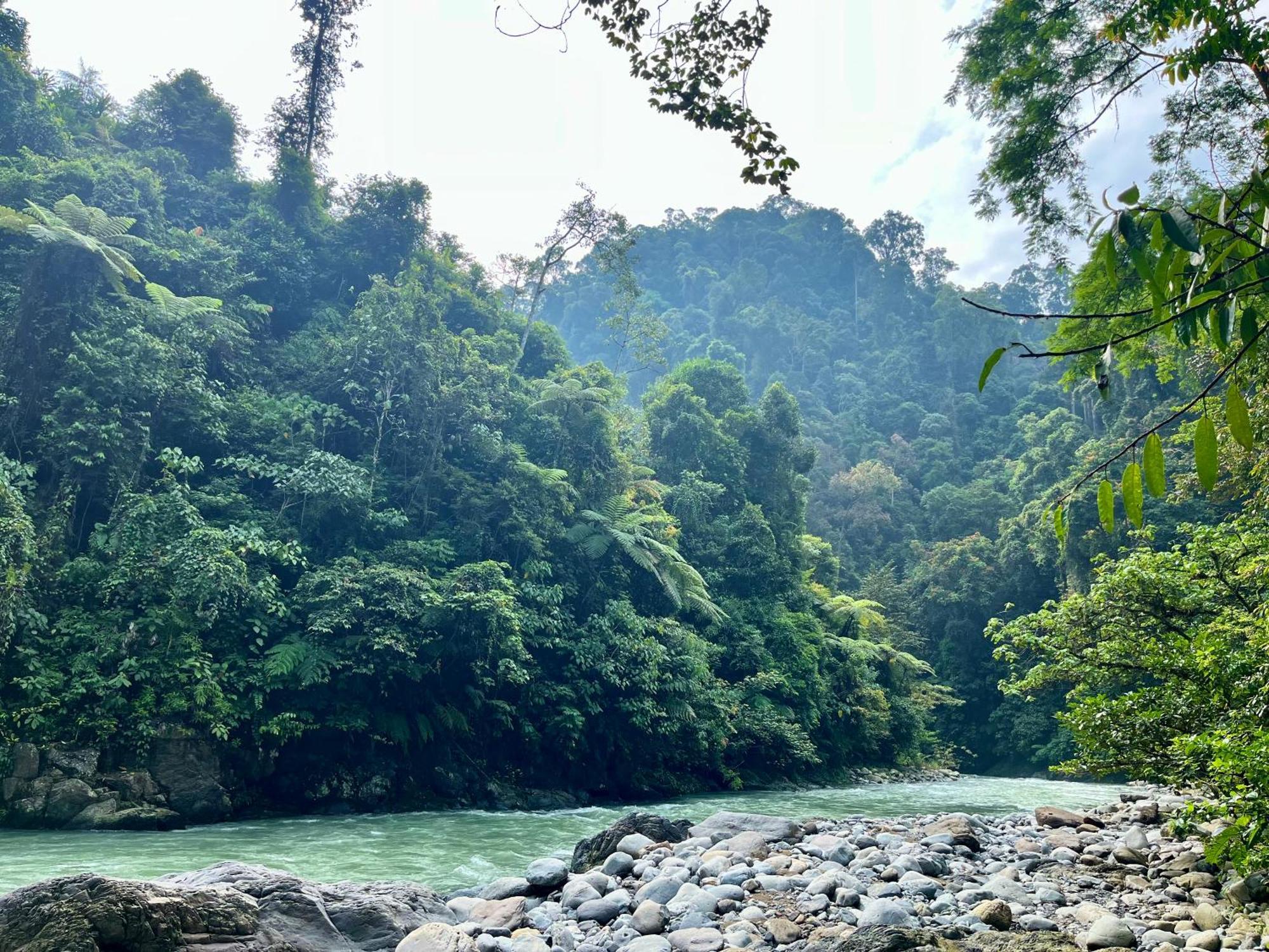 Charlys Little House Hotel Bukit Lawang Exterior photo