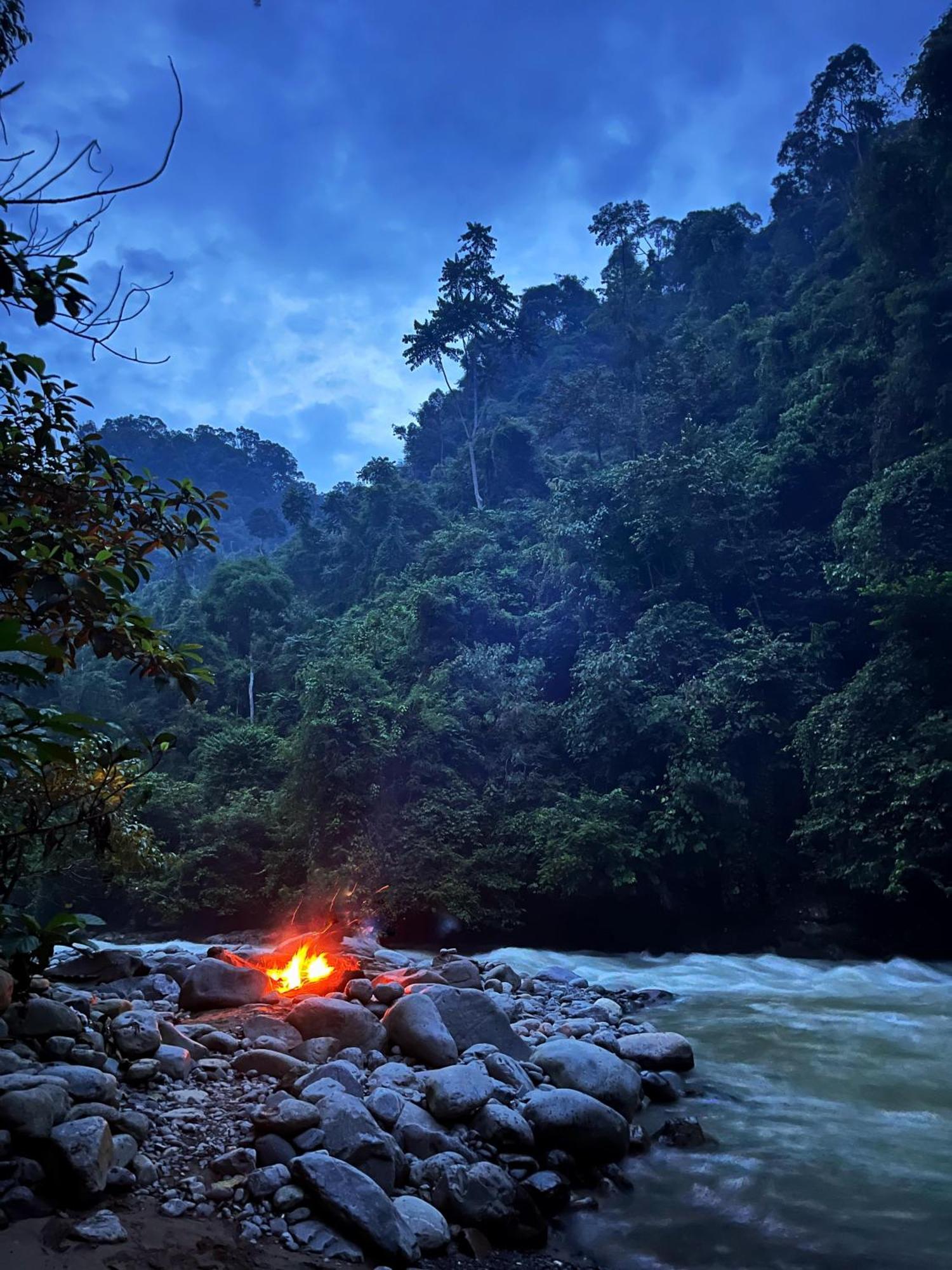 Charlys Little House Hotel Bukit Lawang Exterior photo